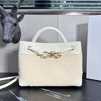 Bottega Veneta Small Andiamo White Raffia Bag 25x20x10cm