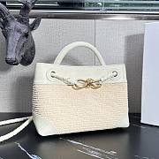 Bottega Veneta Small Andiamo White Raffia Bag 25x20x10cm - 5