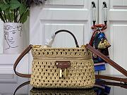 Louis Vuitton LV Vanity Chain Pouch Raffia 19x6.5x11.5cm - 1