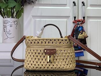 Louis Vuitton LV Vanity Chain Pouch Raffia 19x6.5x11.5cm
