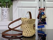 Louis Vuitton LV Vanity Chain Pouch Raffia 19x6.5x11.5cm - 3