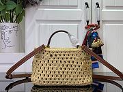 Louis Vuitton LV Vanity Chain Pouch Raffia 19x6.5x11.5cm - 2