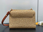 Louis Vuitton LV Twist PM Slim Raffia 19x15x7cm - 4