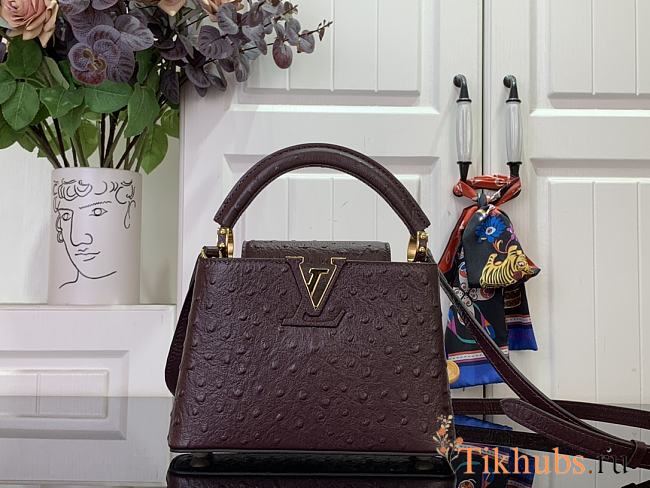 Louis Vuitton LV Mini Capucines Dark Brown Ostrich 21x14x8cm - 1