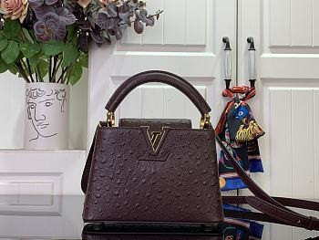 Louis Vuitton LV Mini Capucines Dark Brown Ostrich 21x14x8cm