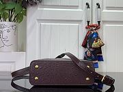 Louis Vuitton LV Mini Capucines Dark Brown Ostrich 21x14x8cm - 6