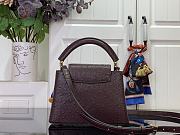 Louis Vuitton LV Mini Capucines Dark Brown Ostrich 21x14x8cm - 5