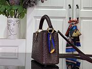 Louis Vuitton LV Mini Capucines Dark Brown Ostrich 21x14x8cm - 3