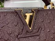 Louis Vuitton LV Mini Capucines Dark Brown Ostrich 21x14x8cm - 2