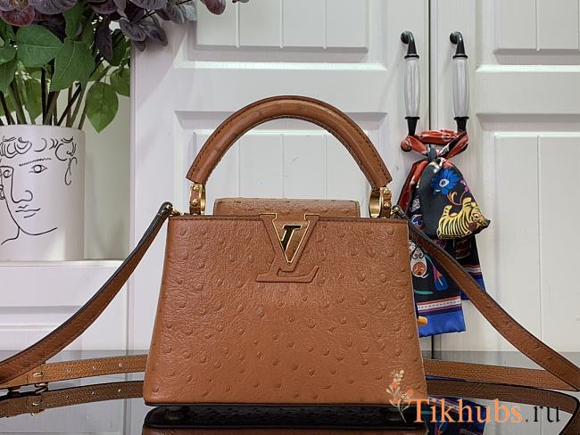 Louis Vuitton LV Mini Capucines Brown Ostrich 21x14x8cm - 1