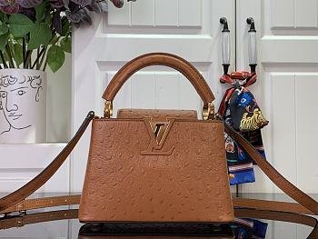 Louis Vuitton LV Mini Capucines Brown Ostrich 21x14x8cm