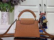 Louis Vuitton LV Mini Capucines Brown Ostrich 21x14x8cm - 4