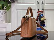 Louis Vuitton LV Mini Capucines Brown Ostrich 21x14x8cm - 3