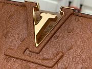 Louis Vuitton LV Mini Capucines Brown Ostrich 21x14x8cm - 2