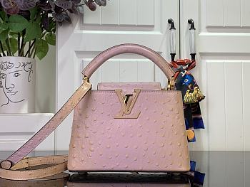 Louis Vuitton LV Mini Capucines Light Pink Ostrich 21x14x8cm