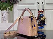 Louis Vuitton LV Mini Capucines Light Pink Ostrich 21x14x8cm - 3