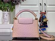Louis Vuitton LV Mini Capucines Light Pink Ostrich 21x14x8cm - 4