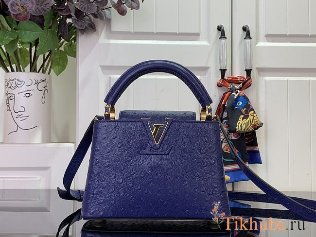Louis Vuitton LV Mini Capucines Blue Ostrich 21x14x8cm - 1