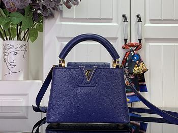 Louis Vuitton LV Mini Capucines Blue Ostrich 21x14x8cm