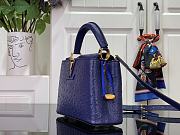 Louis Vuitton LV Mini Capucines Blue Ostrich 21x14x8cm - 4