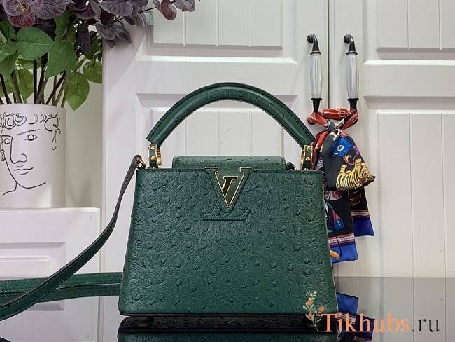 Louis Vuitton LV Mini Capucines Green Ostrich 21x14x8cm - 1