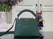 Louis Vuitton LV Mini Capucines Green Ostrich 21x14x8cm - 1