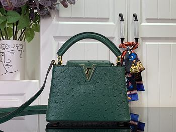 Louis Vuitton LV Mini Capucines Green Ostrich 21x14x8cm