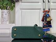 Louis Vuitton LV Mini Capucines Green Ostrich 21x14x8cm - 5