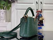 Louis Vuitton LV Mini Capucines Green Ostrich 21x14x8cm - 2