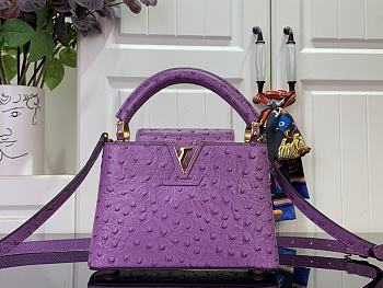 Louis Vuitton LV Mini Capucines Ostrich Purple 21x14x8cm