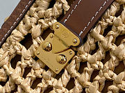 Louis Vuitton LV Side Trunk MM Raffia 23.5x16x8.5cm - 2