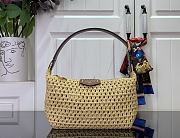 Louis Vuitton LV Hills Pochette Raffia 18.5x11x6.5cm - 1