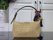 Louis Vuitton LV Hills Pochette Raffia 18.5x11x6.5cm - 5