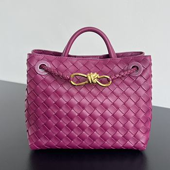 Bottega Veneta Small Andiamo Purple 25x22x10.5cm