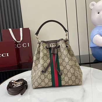 Gucci Ophidia Small Bucket Bag 21x21.5x13cm