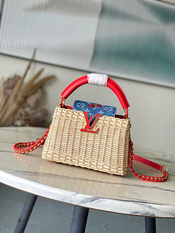 Louis Vuitton LV x TM Capucines Mini Multicolored 21x13.6x8cm