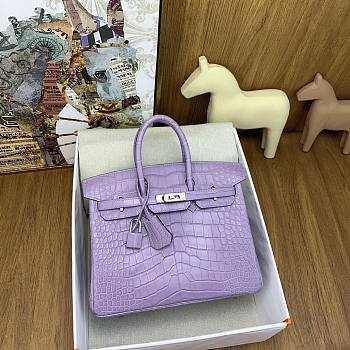 Hermes Birkin 25 Bag Purple Crocodile Silver 25cm