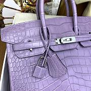 Hermes Birkin 25 Bag Purple Crocodile Silver 25cm - 4