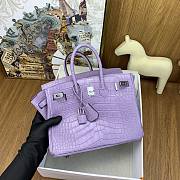 Hermes Birkin 25 Bag Purple Crocodile Silver 25cm - 5