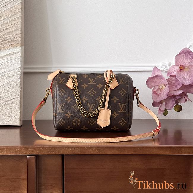 Louis Vuitton LV Speedy Chain 20 Brown 20x15x11cm - 1