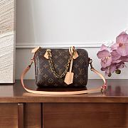 Louis Vuitton LV Speedy Chain 20 Brown 20x15x11cm - 1