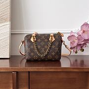 Louis Vuitton LV Speedy Chain 20 Brown 20x15x11cm - 4
