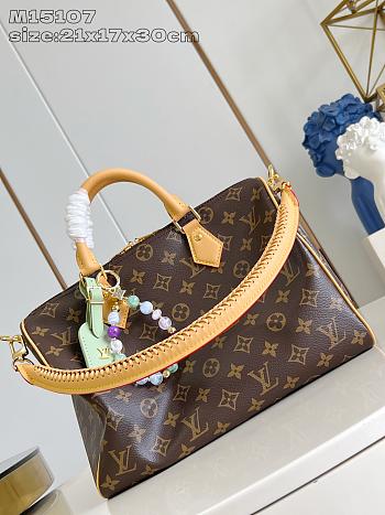 Louis Vuitton LV Speedy Soft 30 Lucky Monogram Green 30x21x17cm