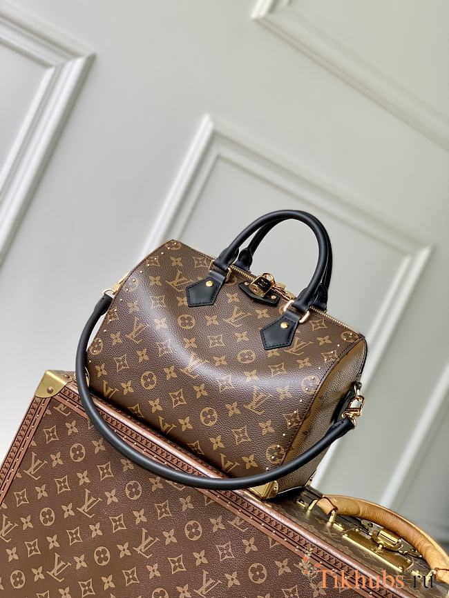 Louis Vuitton LV Speedy Trunk 25 27x20x15cm - 1