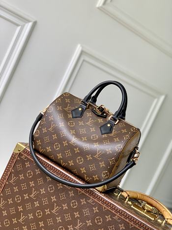 Louis Vuitton LV Speedy Trunk 25 27x20x15cm