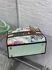 Dior Lady D-Lite Natural Raffia and Multicolor 24x11x20cm - 4