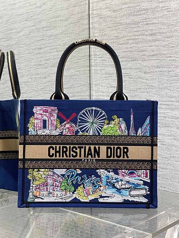 Dior Souvenir Medium Dior Book Tote Raffia Blue 36cm