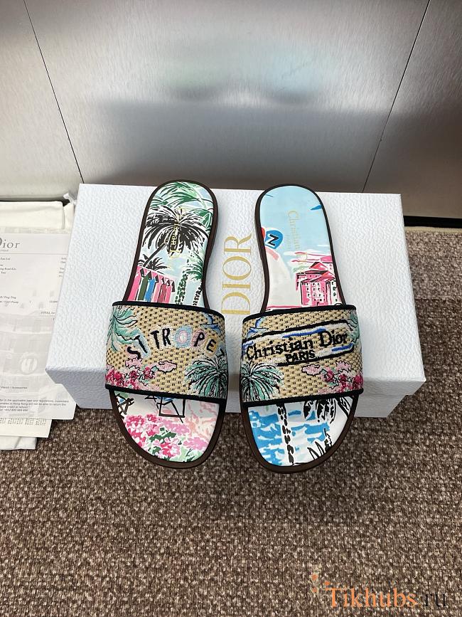 Dior Souvenir Dway Slide Natural Raffia - 1