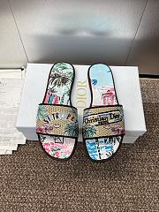 Dior Souvenir Dway Slide Natural Raffia - 1