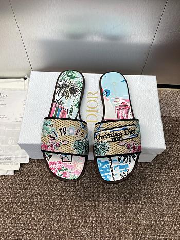 Dior Souvenir Dway Slide Natural Raffia